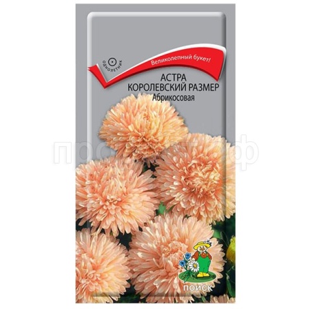 Поиск Астра королевский размер Абрикосовая 0,1г