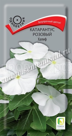 Поиск Катарантус розовый Халиф 0,1г