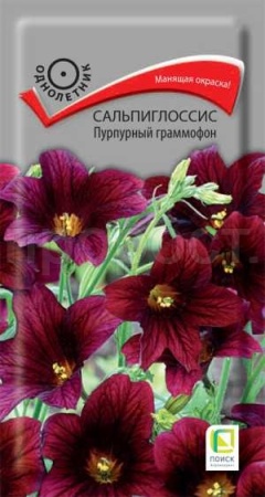 Поиск Сальпиглоссис Пурпурный граммофон 0,01г 