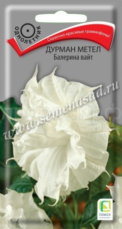 Поиск Дурман метел Балерина вайт 3шт