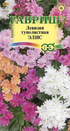 Гавриш Левизия туполистная Элис 5 шт 
