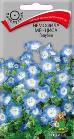 Поиск Немофила менциса Голубая 0,09г