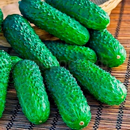 Каприс Фермерская Огурец Герман F1 100 шт