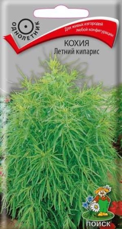 Поиск Кохия Летний кипарис 0,2г