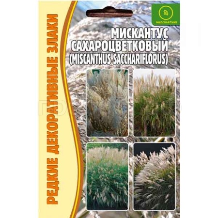 Редкие растения Мискантус Сахароцветковый (Мiscanthus sacchariflor) 0,1г