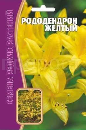 Редкие растения Рододендрон Желтый 25 шт 