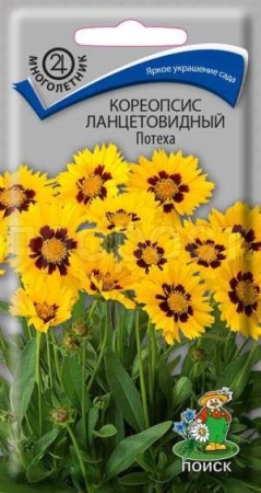 Поиск Кореопсис ланцетовидный Потеха 0,1г 