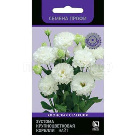 Поиск Эустома крупноцветковая Корелли Вайт 5шт