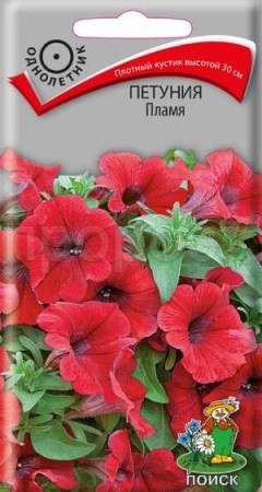 Поиск Петуния Пламя 0,1гр
