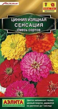 Аэлита Цинния Сенсация, смесь сортов 12шт