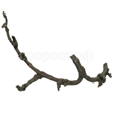 Декор Виноградная коряга для террариума 75-100см