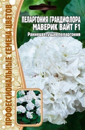 Редкие растения Пеларгония грандифлора Маверик Вайт F1 3шт