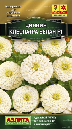 Аэлита Цинния Клеопатра F1 белая 12шт