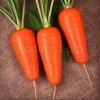 Морковь Шантенэ 2461  500г