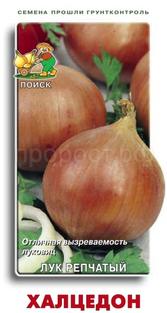 Лук репчатый Халцедон 1г