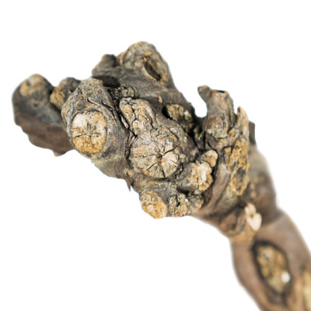 Декор Виноградная коряга для террариума 75-100см