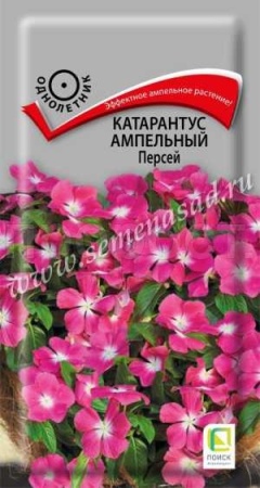 Поиск Катарантус ампельный Персей 10шт 