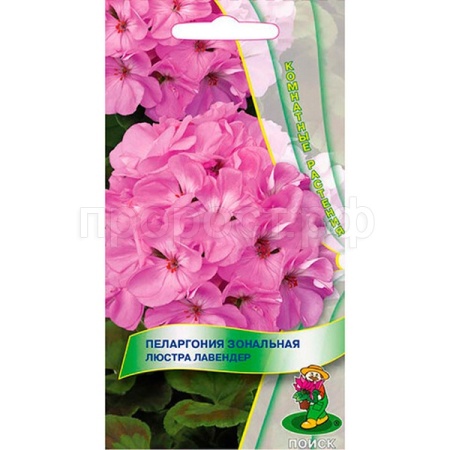 Поиск Комн. Пеларгония Люстра Лавендер 5шт