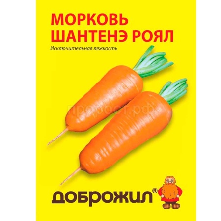 Морковь Шантенэ роял 0,5г Морковь Шантенэ роял 0,5г