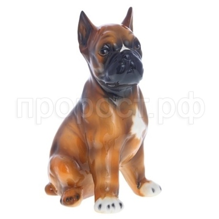 Боксер малый сидячий интерьерн L19W18H33см 626894/F630