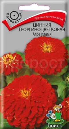 Цинния георгиноцветковая Алое пламя 0,4г