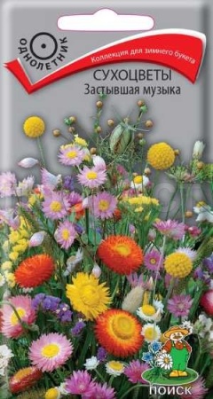 Поиск Сухоцветы Застывшая музыка 0,3г