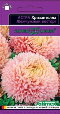 Гавриш Астра Хризантелла Жемчужный восторг 0,05 г