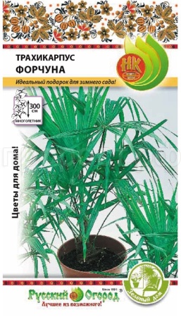 НК Пальма Трахикарпус Форчуна 5шт