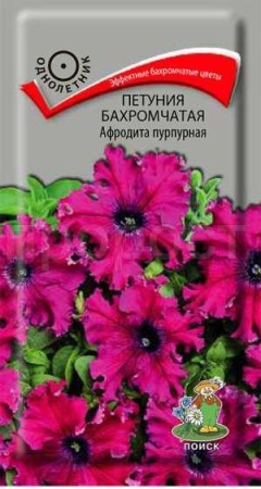 Поиск Петуния бахромчатая Афродита пурпурная 10шт 