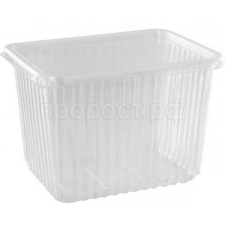 Контейнер 179*132мм 2000мл (50шт) с крышкой ПП 1373552 /10шт/ К