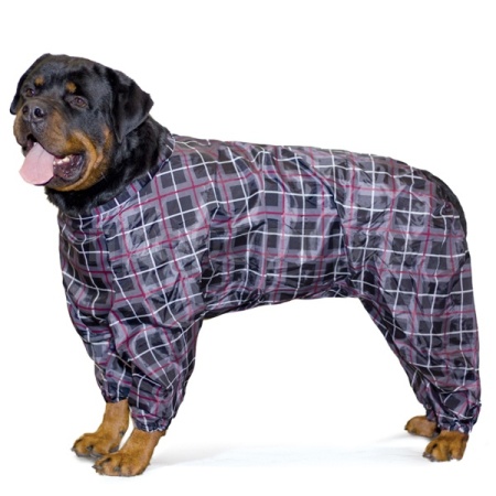 Комбинезон зимний Ротвейлер 62см/12212015/Триол Комбинезон зимний Ротвейлер 62см/12212015/Триол