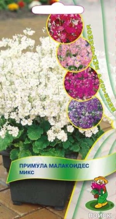 Поиск Комн. Примула малакоидес Микс 0,01г